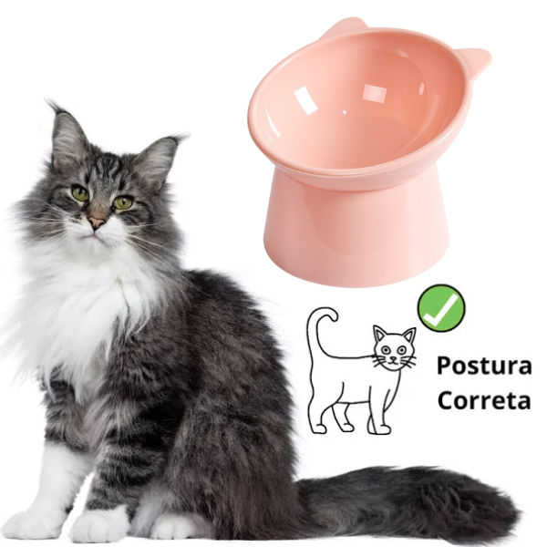 Comedouro para Gato Elevado e Ergonômico