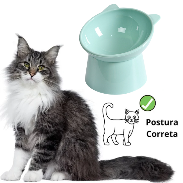 Comedouro para Gato Elevado e Ergonômico