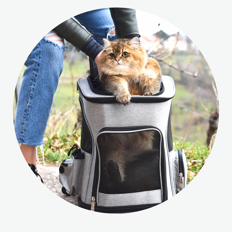 Bolsa de Transporte para Gato Dobrável e Expansível